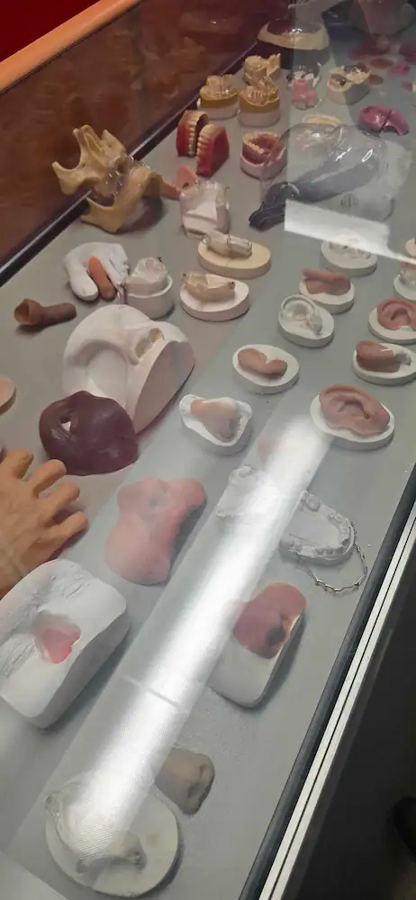 Maxillofacial
